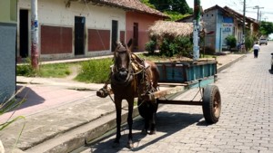 A donkey cart on the Coast of Nicaragua. A donkey cart on the Coast of Nicaragua.