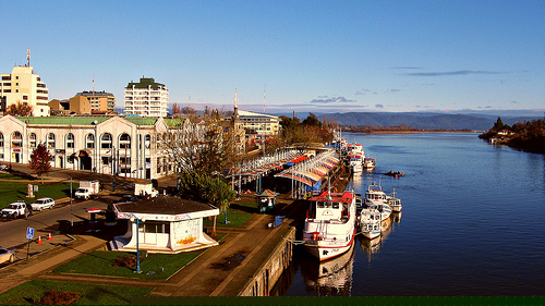 Valdivia Fish Market Valdivia Fish Market
