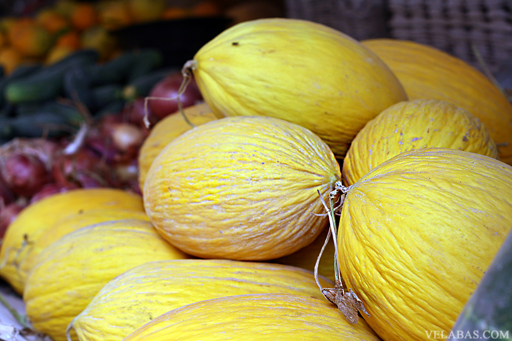 Moroccan melons