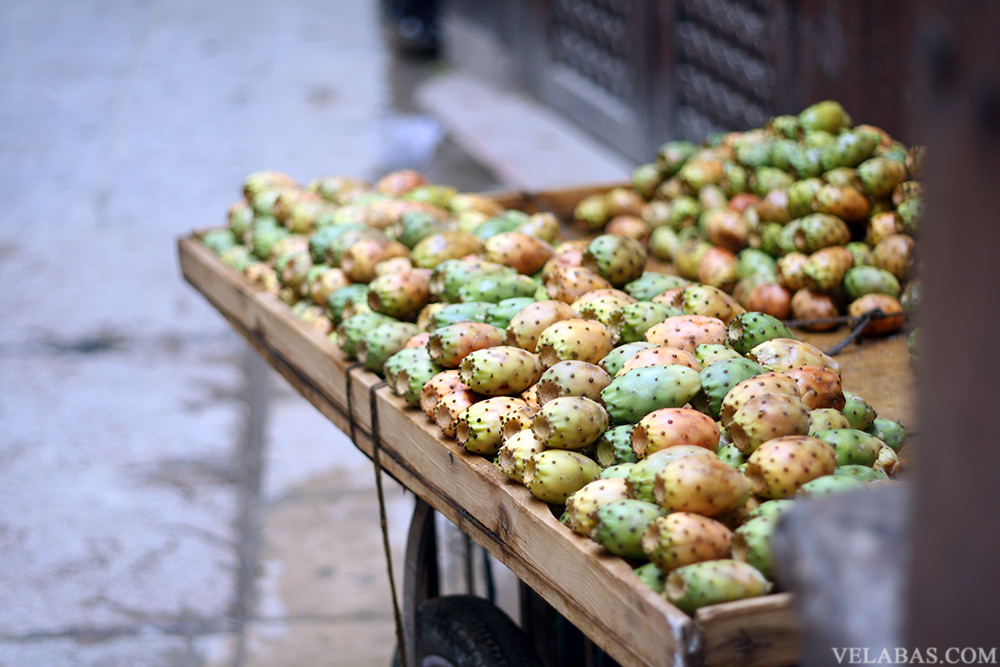 Moroccan prickly pears