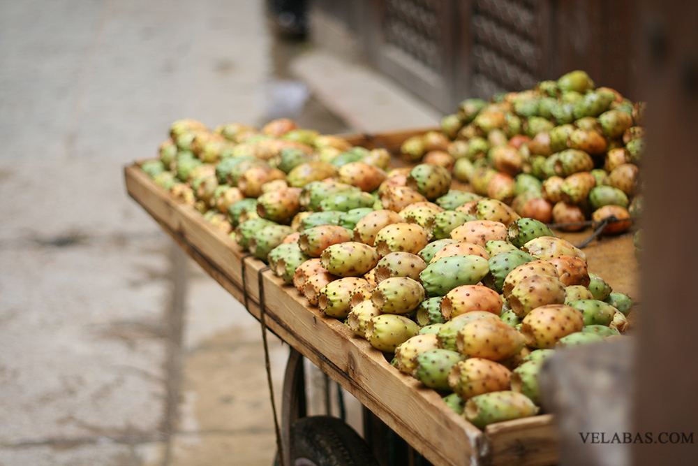 Moroccan prickly pears
