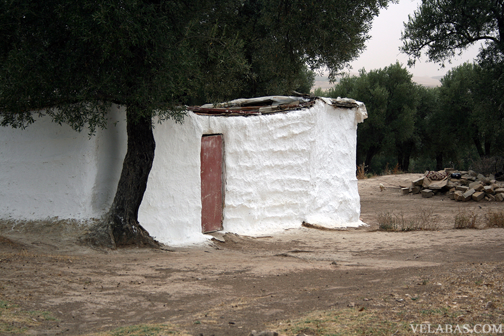 Moroccan rural dwelling