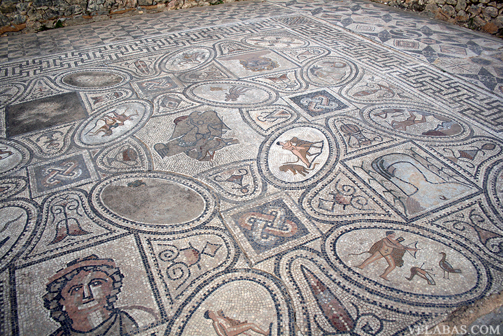 A Roman mosaic. Volubilis has amazing Roman mosaics