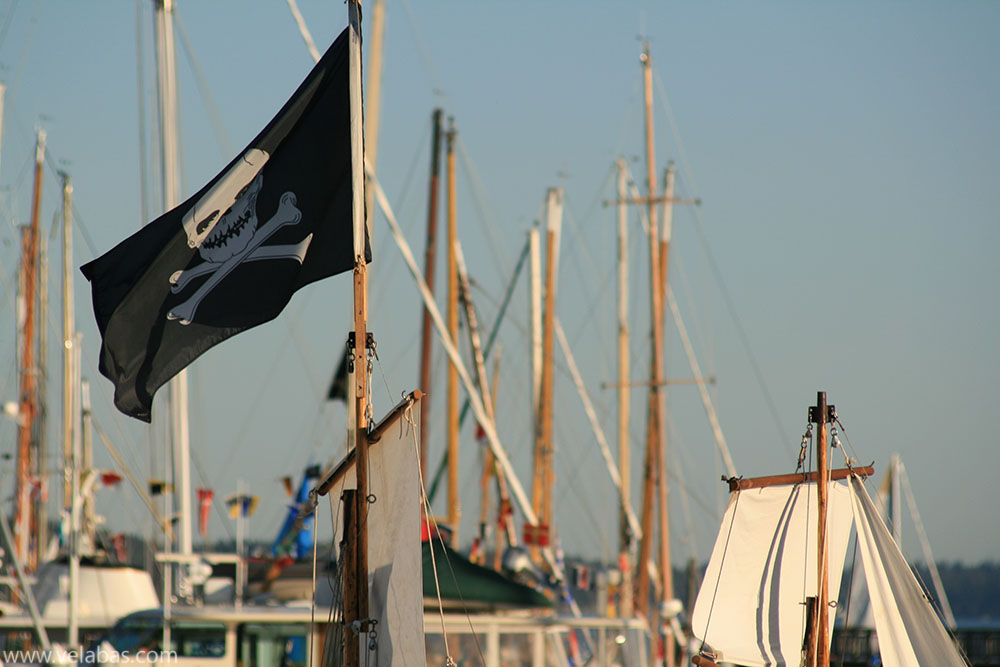 A pirate flag on a boat in the harbor in Port Townsend
