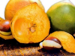 Lucuma