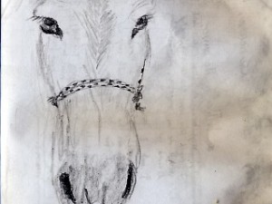 A sketch of a donkey at the border of Mexico and Guatemala.
