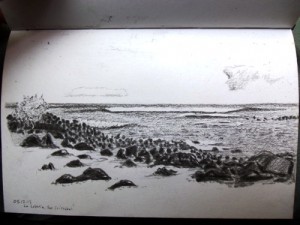 Travel Drawing in the Galapagos