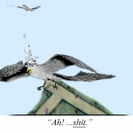 This is a cartoon of a bird pooping on a bird